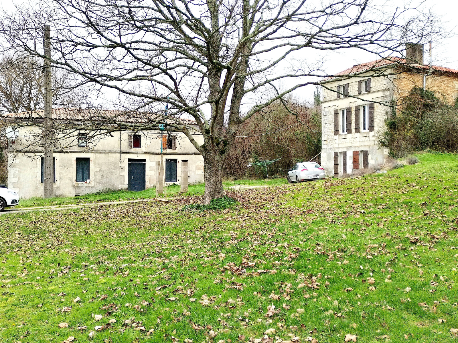 Image_, Propriete, Saint-Thomas-de-Conac, ref :1547