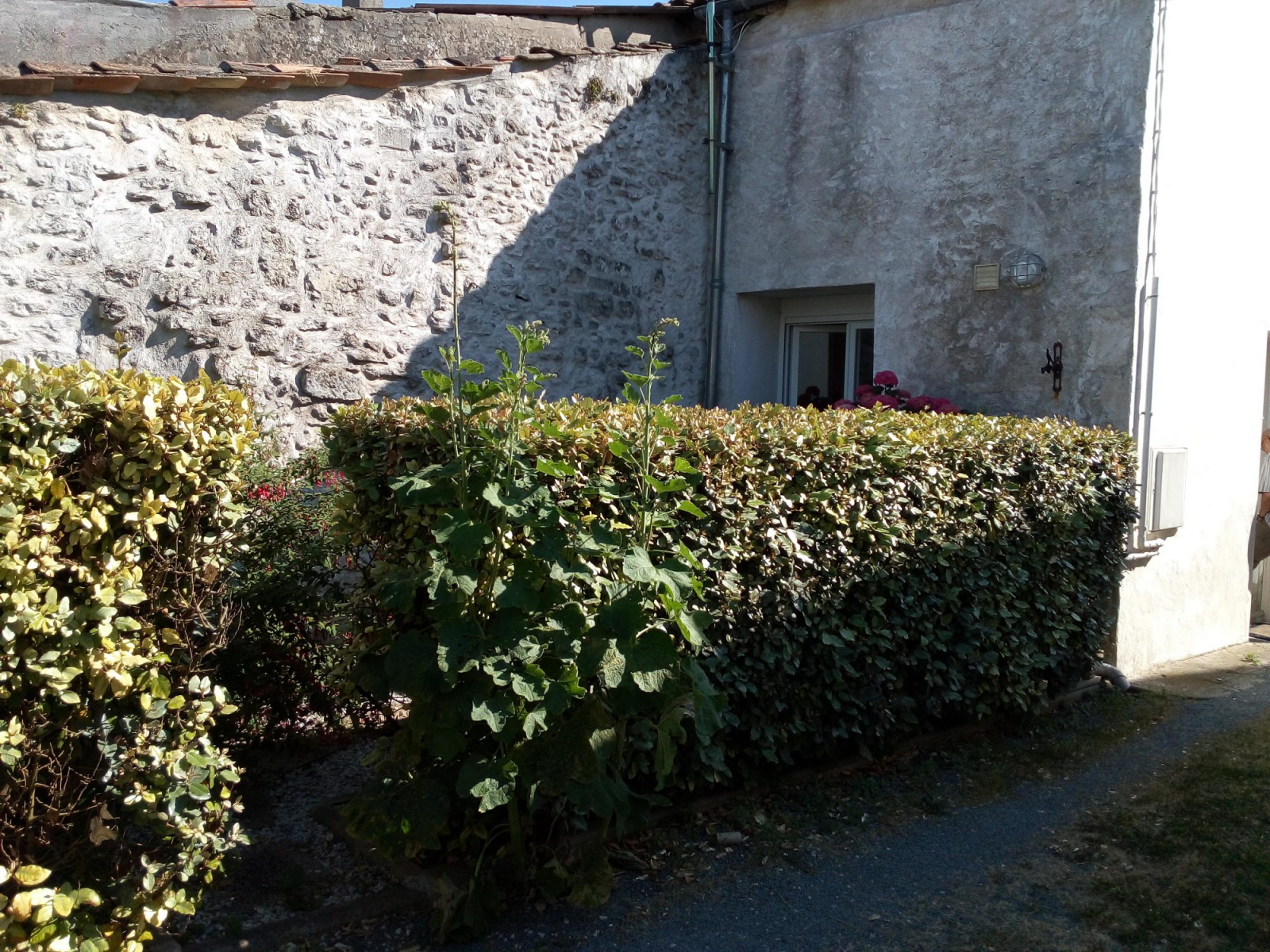 Image_, Maison, Meschers-sur-Gironde, ref :VM1165