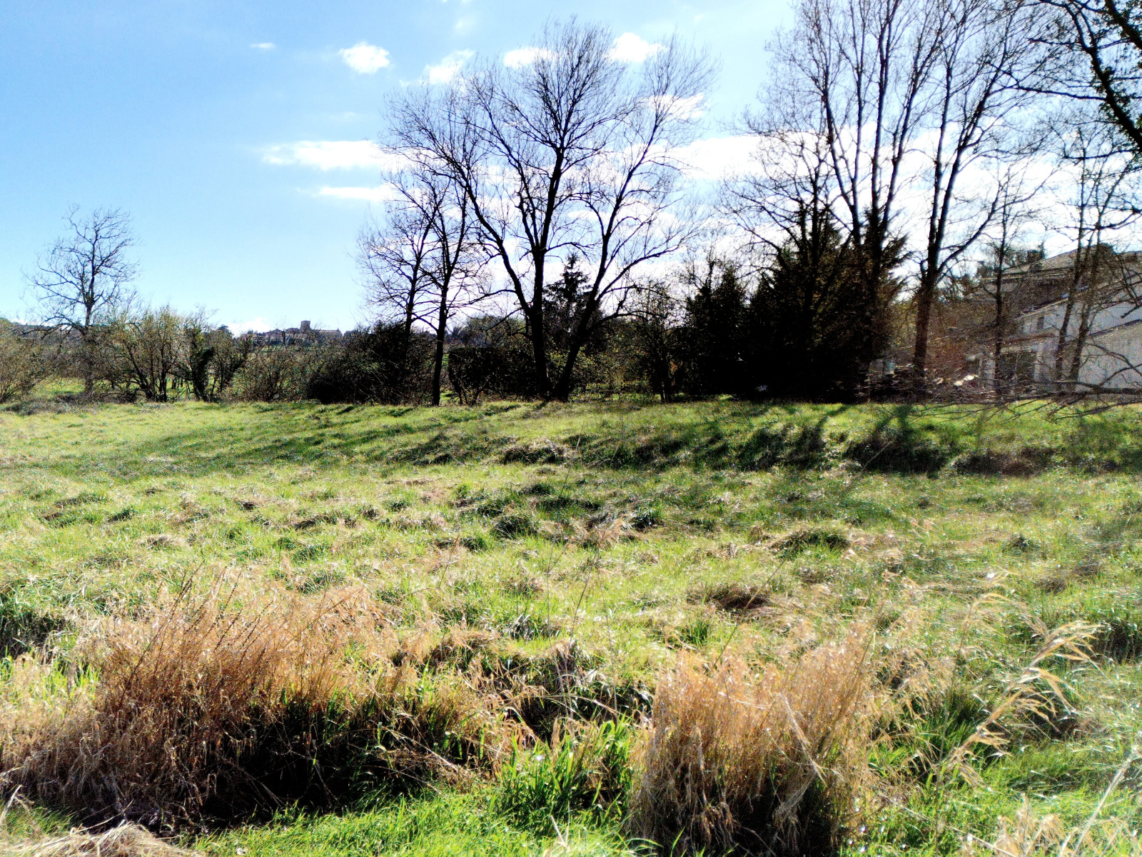 Image_, Maison de village, Saint-Thomas-de-Conac, ref :1534