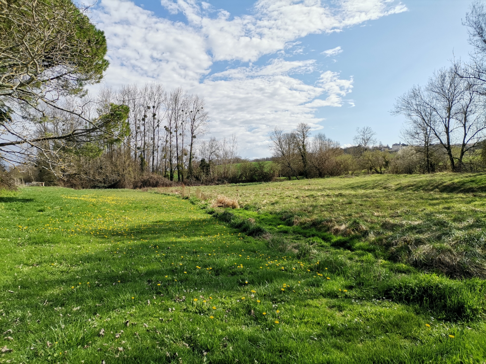 Image_, Maison de village, Saint-Thomas-de-Conac, ref :1534